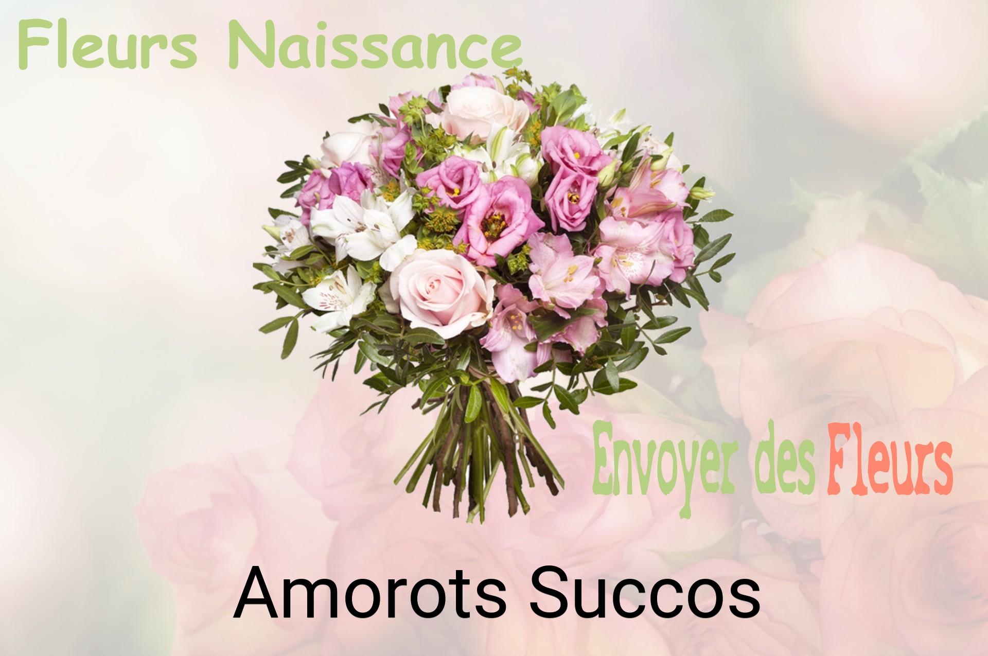 Bouquet de fleurs de naissance livré à Amorots-Succos